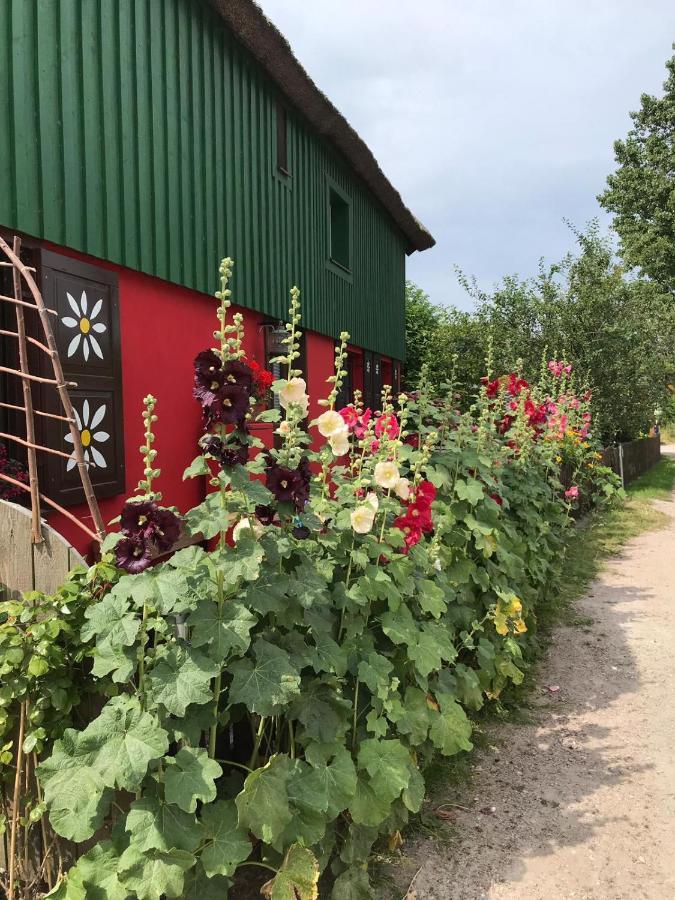 Toepferweg 06 Ferienwohnung Tine ارنشوب المظهر الخارجي الصورة